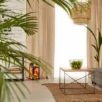5 Signes Que Votre Intérieur Ne Vous Soutient Plus (Et Comment Le Réajuster)